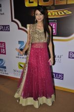 Dimple Jhangiani at Gold Awards red carpet in Filmistan, Mumbai on 17th May 2014